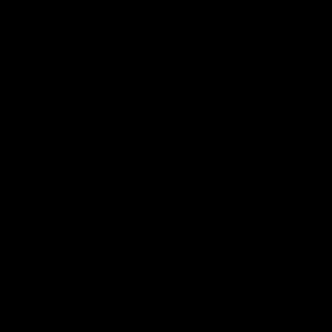 Meet your Posher, Corey